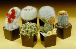 Five knit and crochet cacti in pots