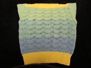 Knit sleeveless top with scalloped band running from blue to light green between the yellow welt and neck band.