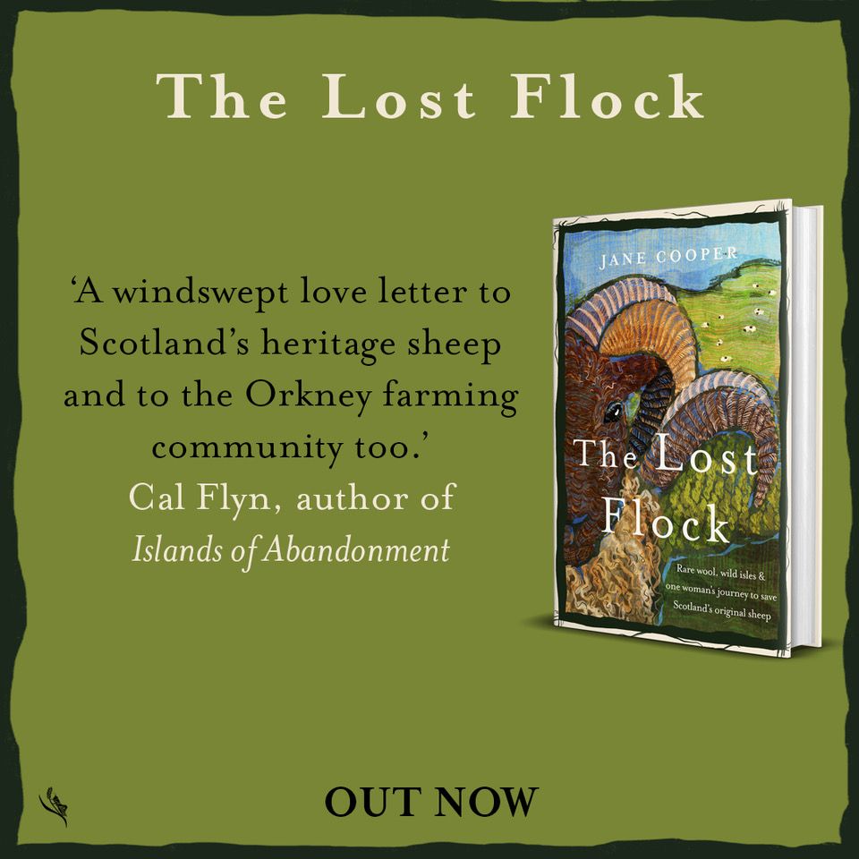 Announcement of the publication of "The Lost Flock" by Jane Cooper. It has the text "The Lost Flock. A windswept love letter to Scotland's heritage sheep and to the Orkney farming community too. Cal Flyn, author of Islands of abandonment" and the front cover that depicts horned sheep's head against a rural background and flock of sheep.