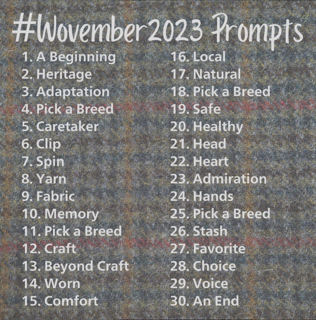 #Wovember 2023 prompts 1. A Beginning 2. Heritage 2. Adaptation 4. Pick a breed 5. Caretaker 6. Clip 7. Spin 8. Yarn 9. Fabric 10. Memory. 11. Pick a Breed 12. Craft 13. Beyond Craft 14. Worn 15. Comfort 16. Local 17. Natural 18. Pick a Breed 19. Safe 20. Healthy 21. Head 22. Heart 23. Admiration 24. Hands 25. Pick a Breed 26. Stash 27. Favourite 28. Choice 29. Voice 30. An End