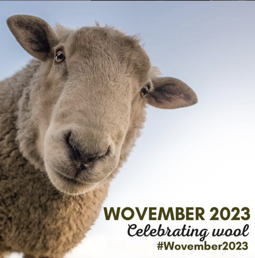 Wovember 2023. Celebrating Wool.