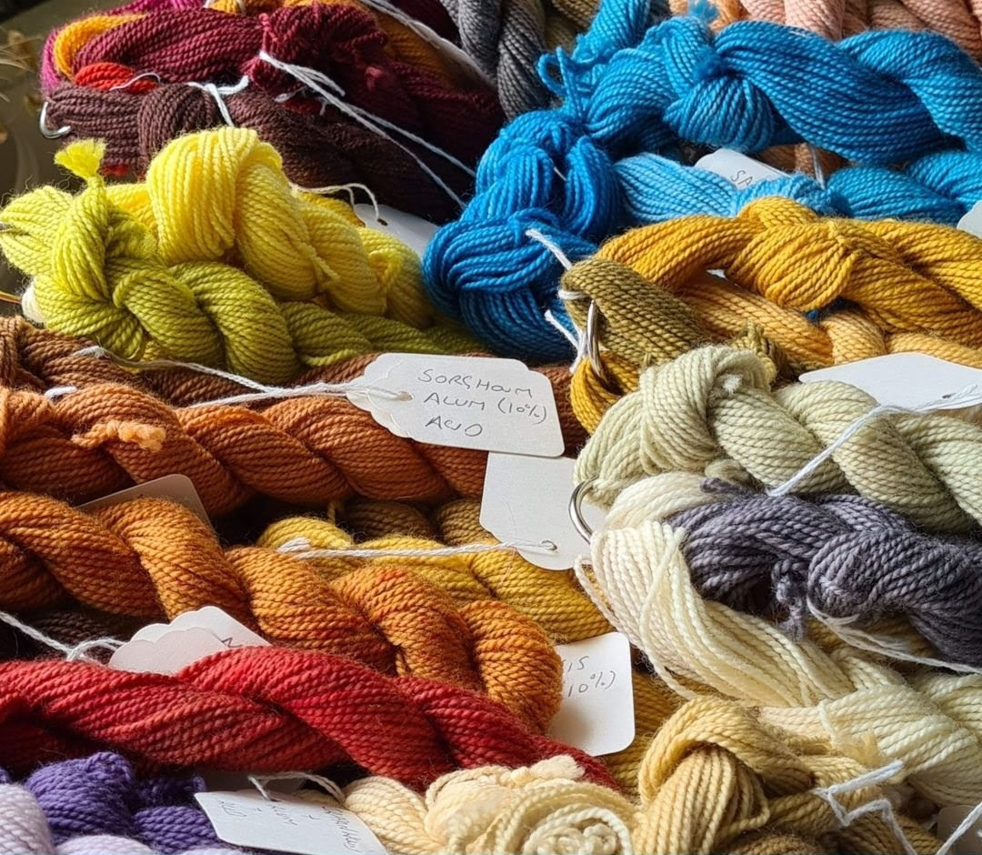 Hanks of wool dyed using natural dyes