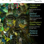 Cover of Slipknot issue 192, September 2026 featuring a knitted Green Man.